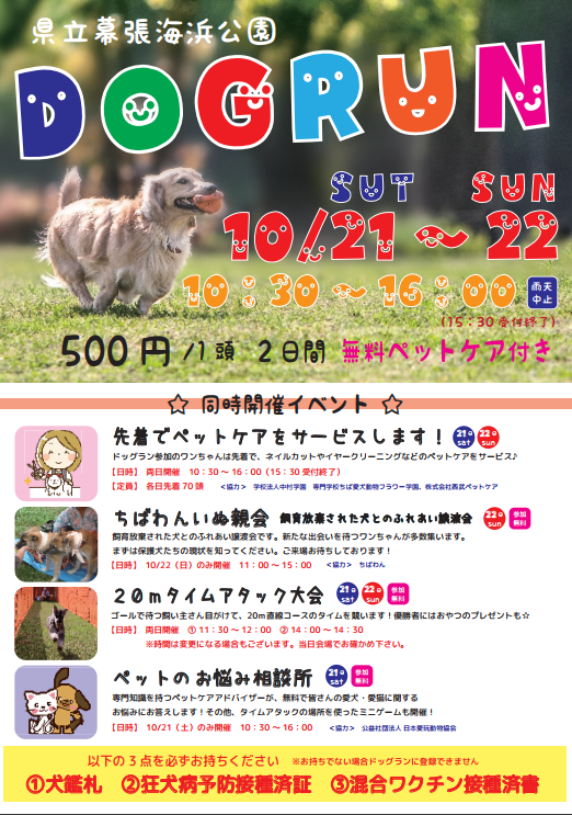 ドッグランin幕張海浜公園